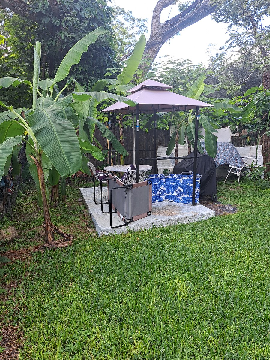 Furnished Finder property 614029_1 photo 21