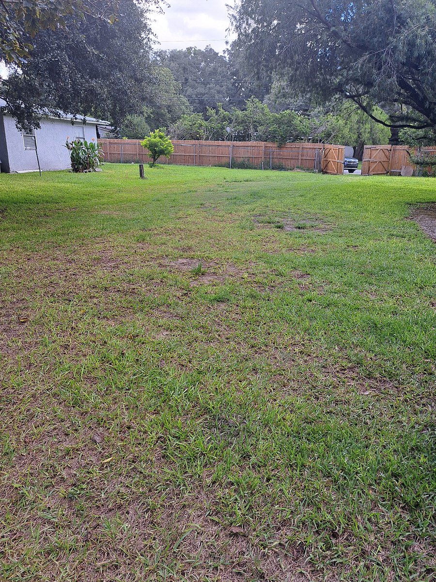 Furnished Finder property 614029_1 photo 22