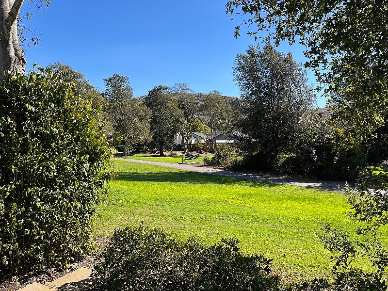View from living room