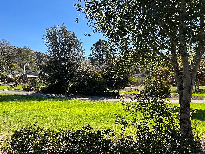 Park scene