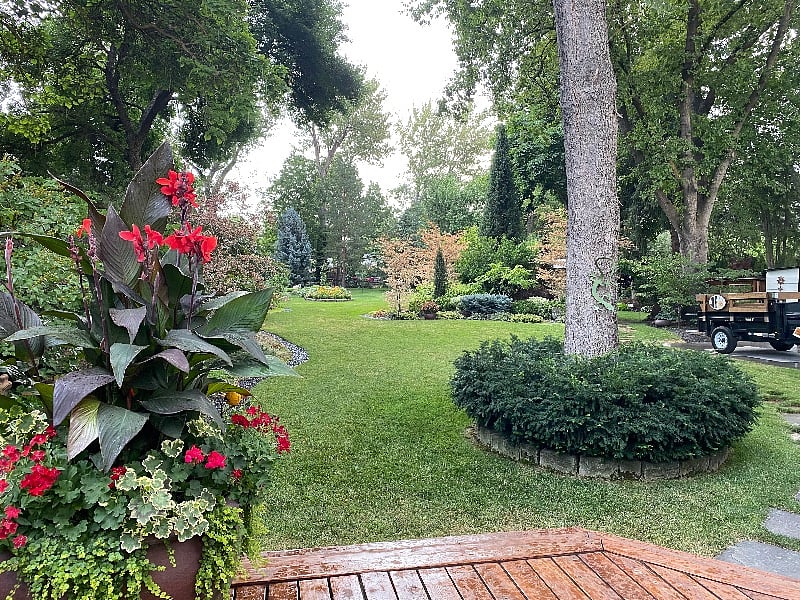 this is our property, looking out from our back deck. The little cottage is located to the right.