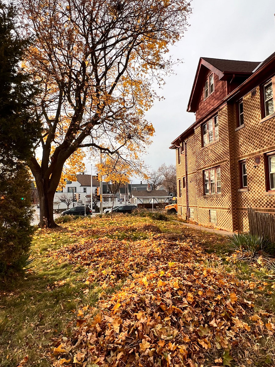 Generous side yard with room to spread out