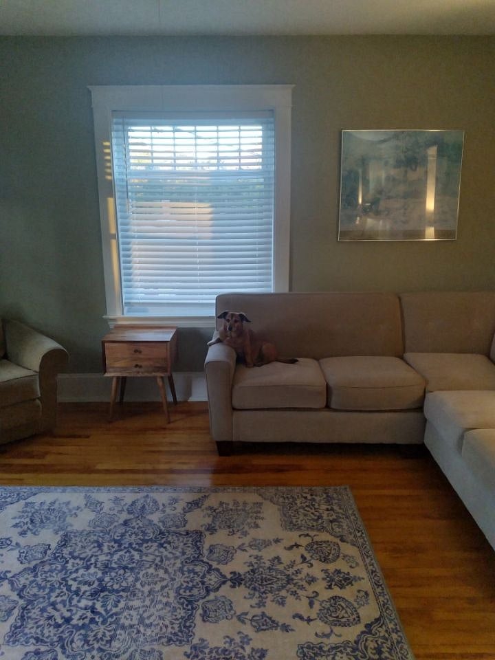 Furnished Finder property 614414_1 photo 3