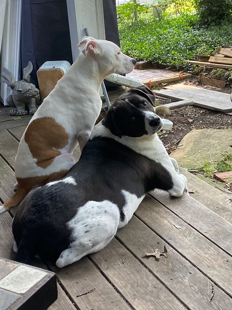 Booth and Pip are waiting for you!