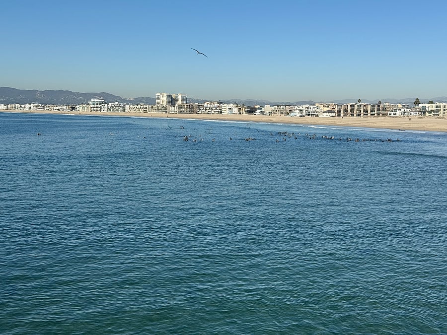 Furnished Finder property 614774_1 photo 21