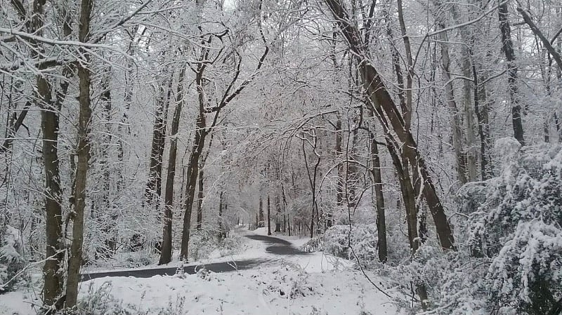 McMullen Creek Greenway is beautiful to visit even in winter!