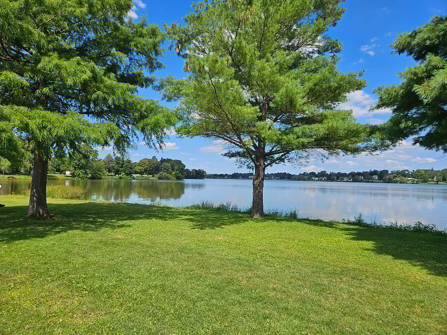Furnished Finder property 615002_1 photo 16