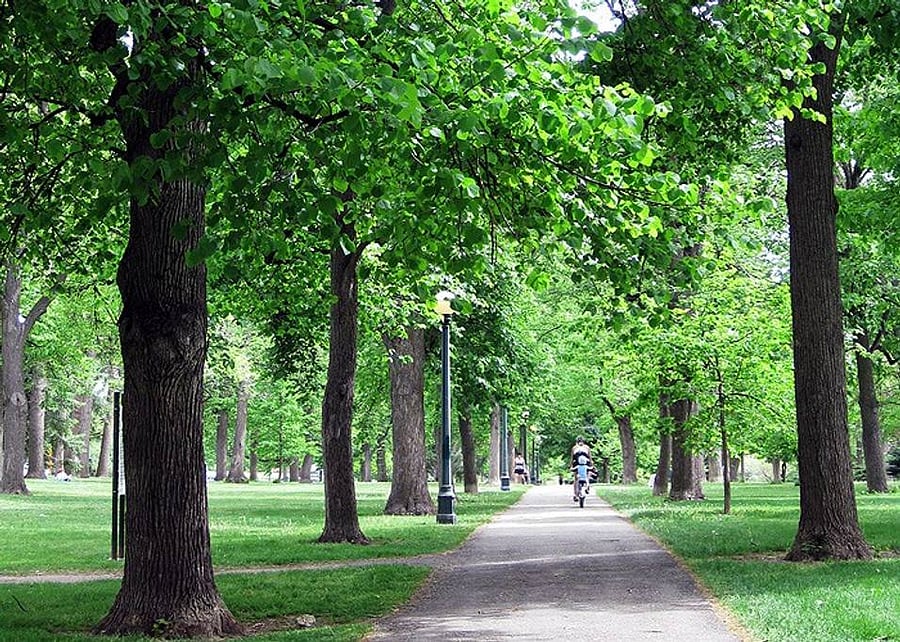 A beautiful portion of Cheesman Park