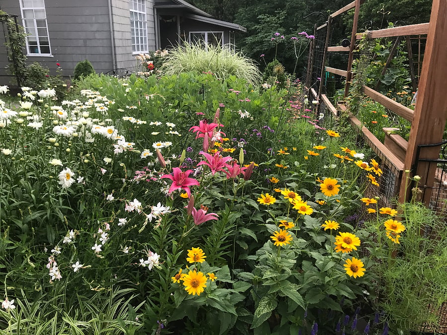 Front Garden