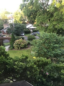 View of the garden from the kitchen window