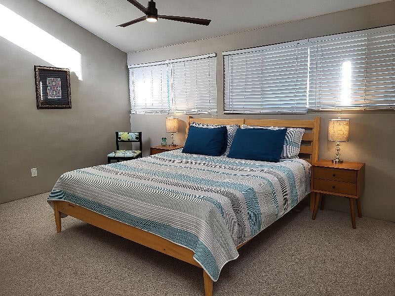 Large master bedroom with king bed and walk-in closet