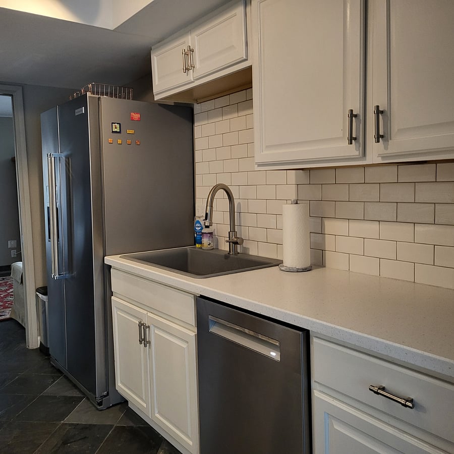 New stainless fridge (with water and ice dispenser) and dishwasher