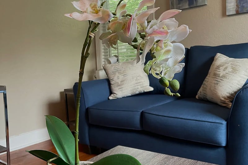 Furnished Finder property 615467_1 photo 4