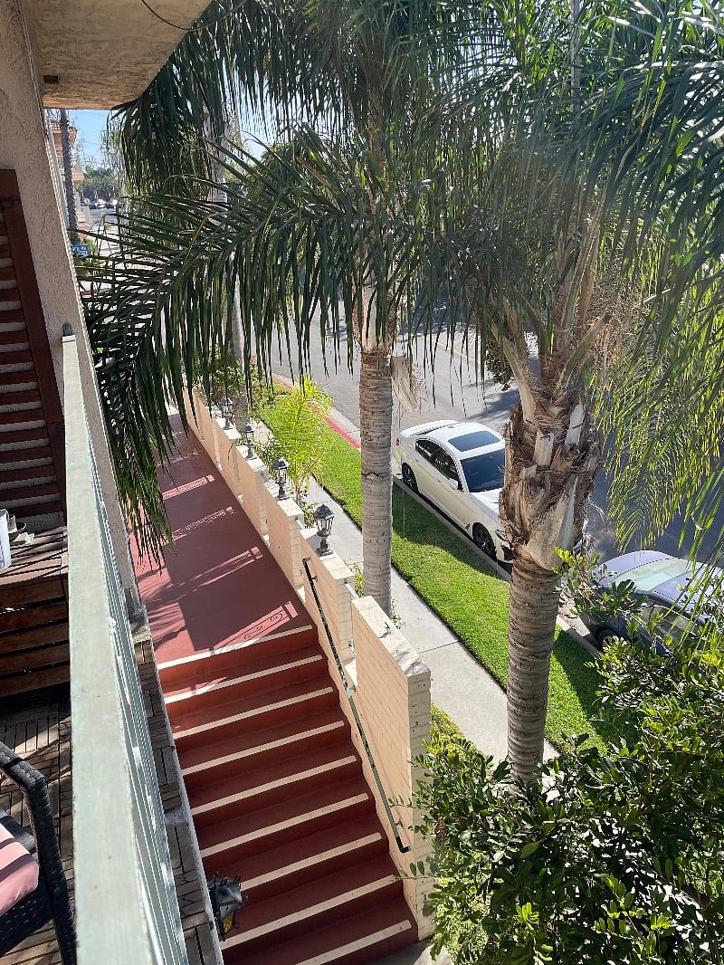 View from Balcony