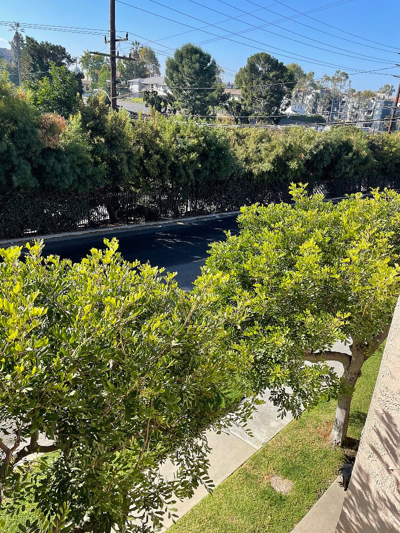 Balcony View