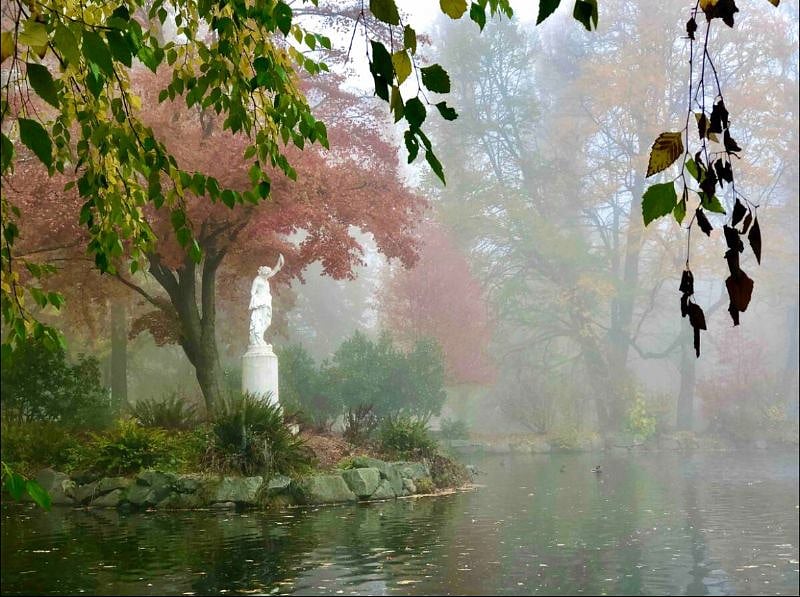 The scenic Wright Park is just two blocks away, lovely botanical gardens, wildlife pond and running/walking trails.