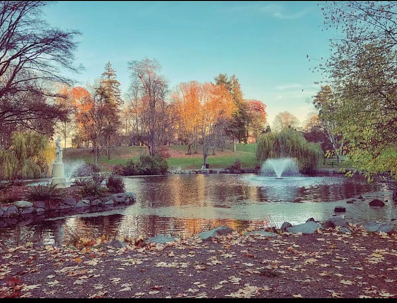 wright Park wildlife pond