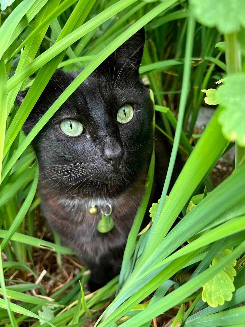 lil Sami, being his curious and playful self