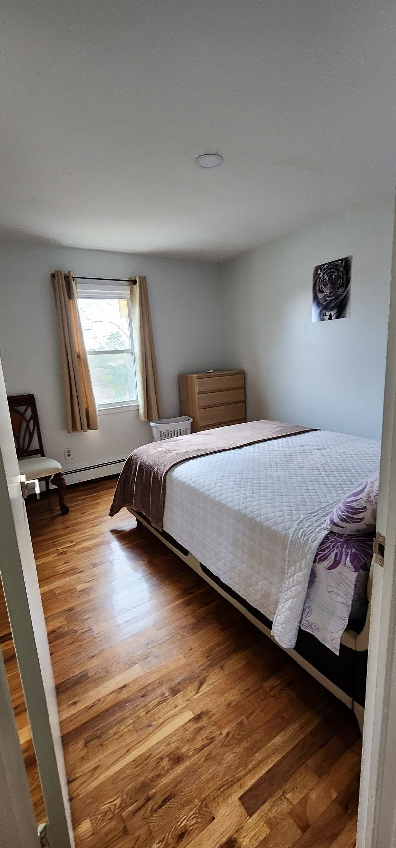 Furnished Finder property 615739_1 photo 13