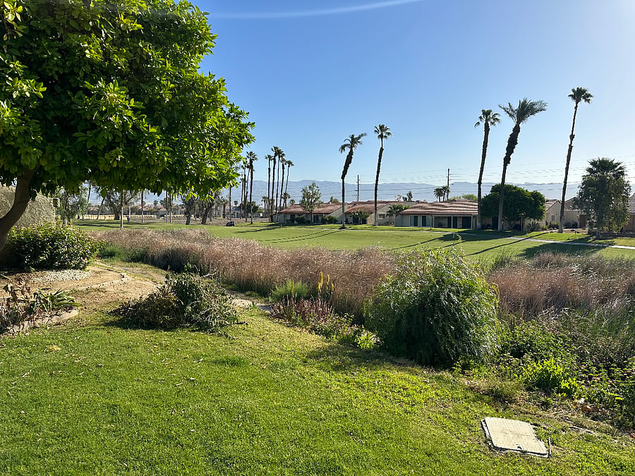 View from back patio onto the green.