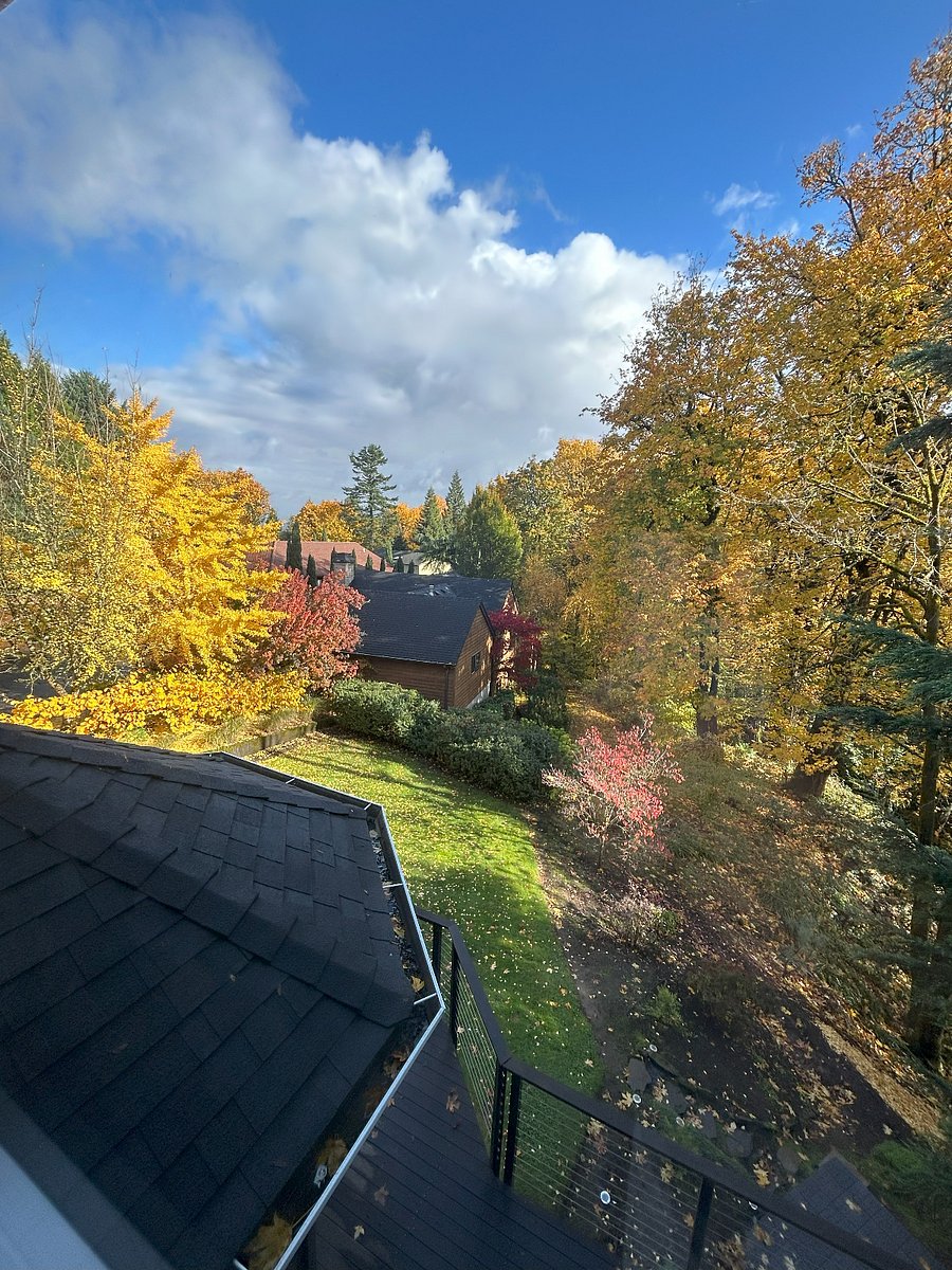Gorgeous Fall View