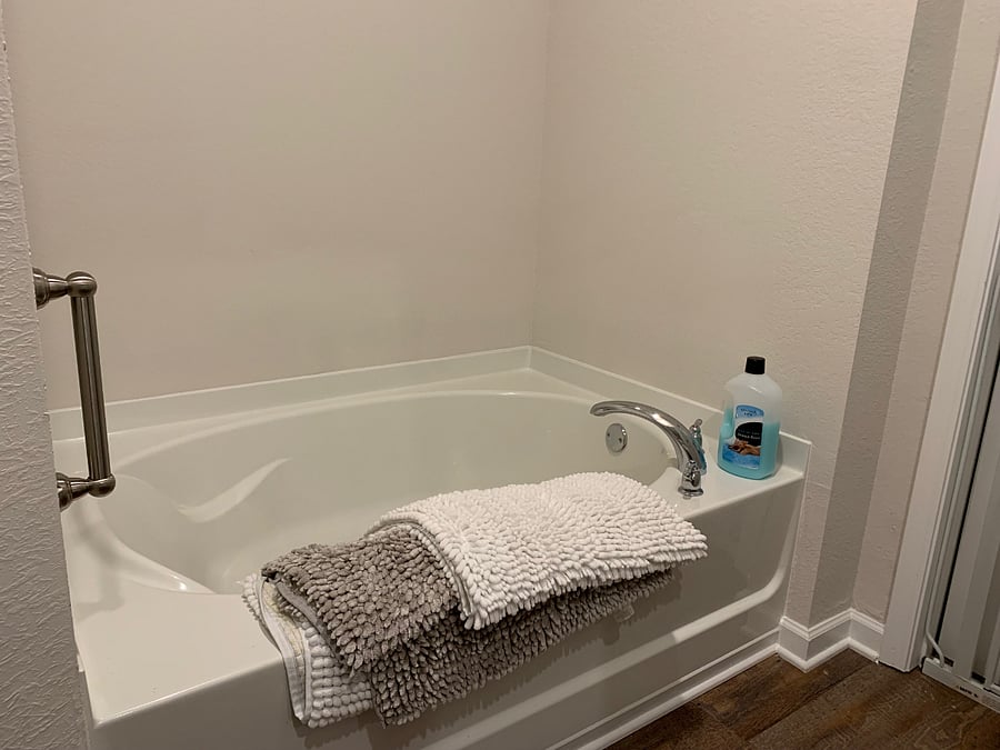 Master Bedroom Bath Tub