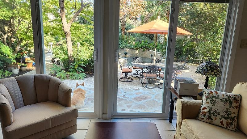 view to the outside from living area.  There are 2 friendly Corgis on the property.
