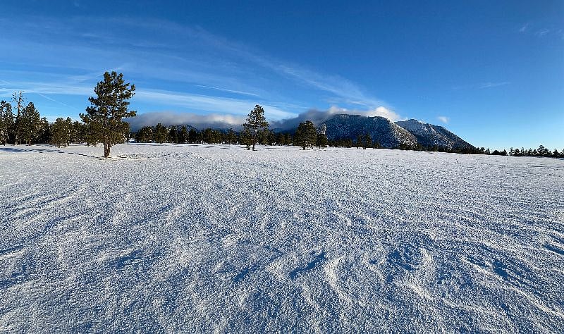 Right out the door is access to trails for hiking or cross country skiing