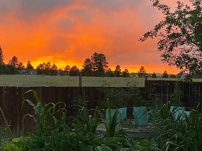 Backyard with Sunset views
