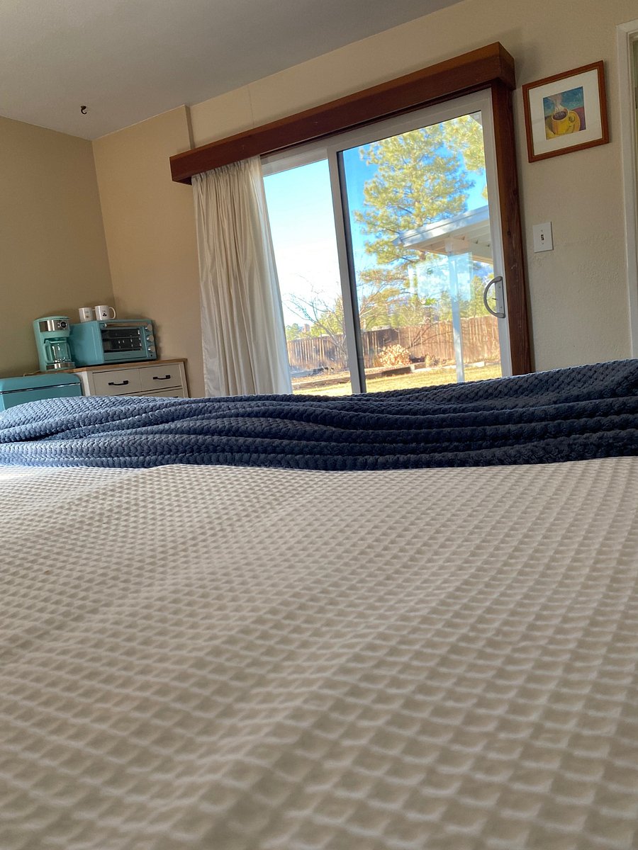 View of the trees and mountain from the bed
