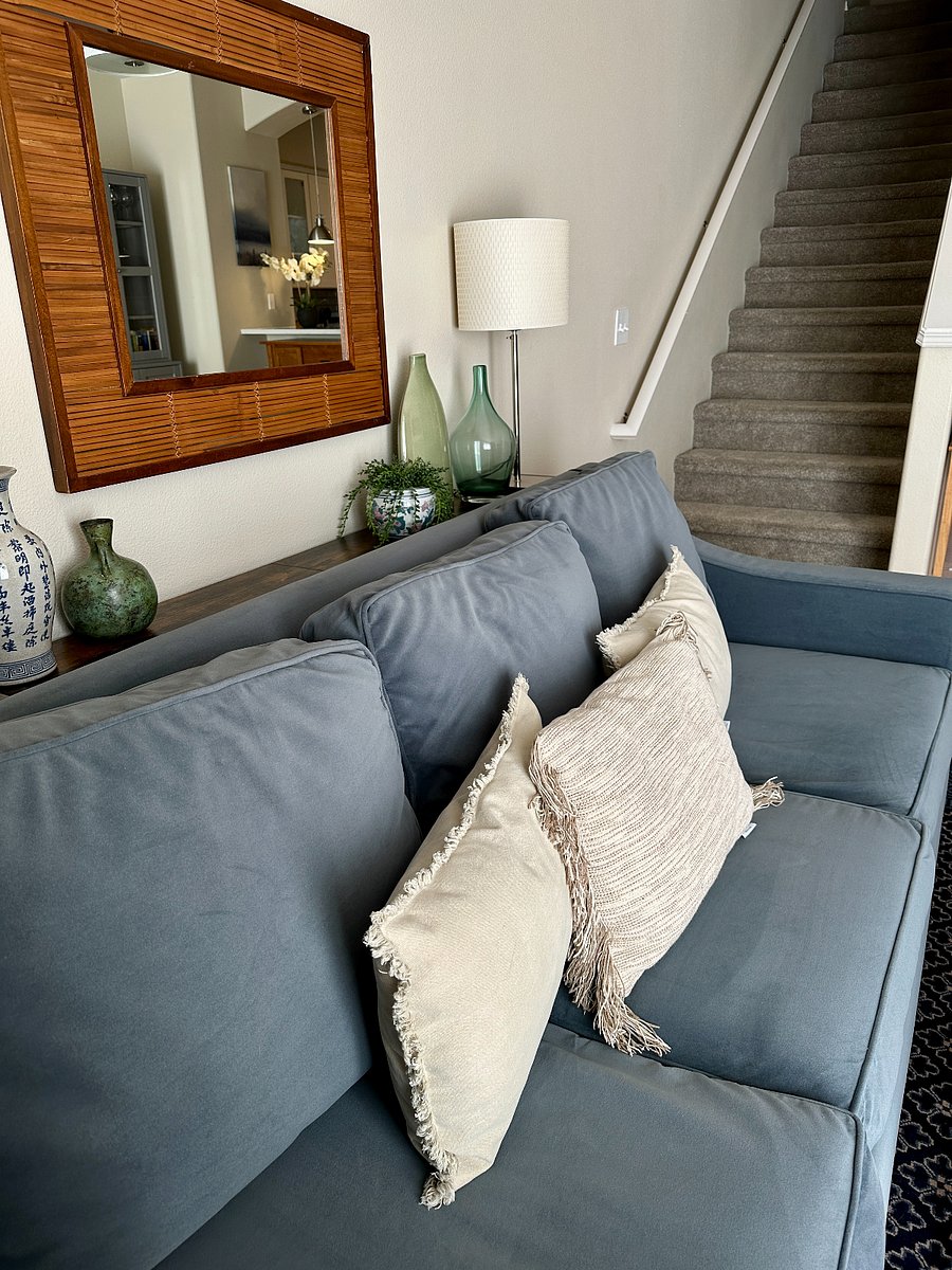 Living area - couch converts to sofabed