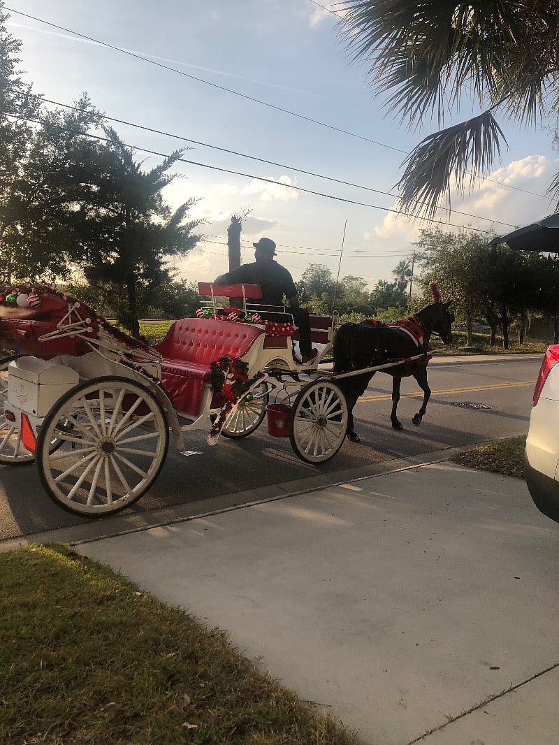Daily horse and carriages drive by
