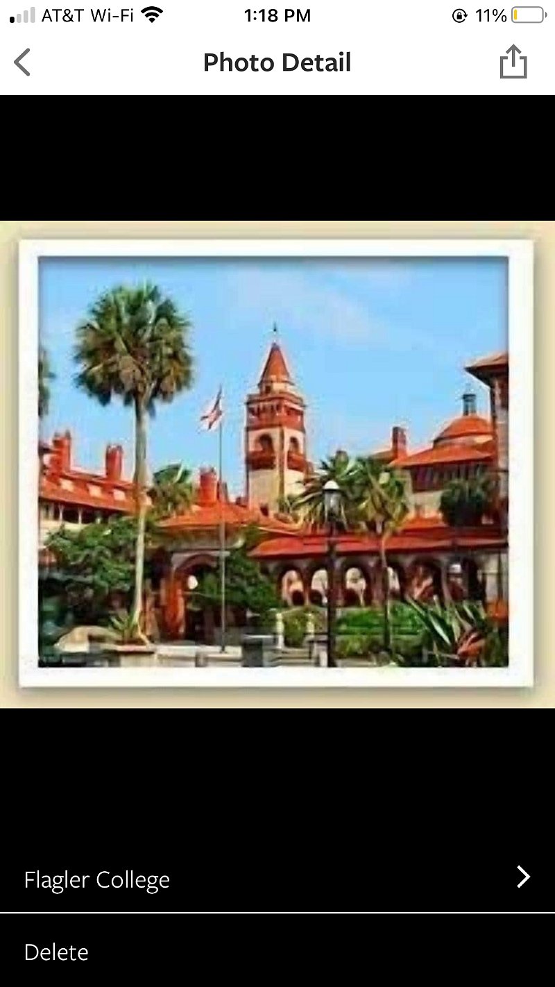 Flagler college