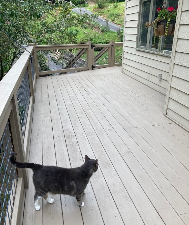 Deck on main floor