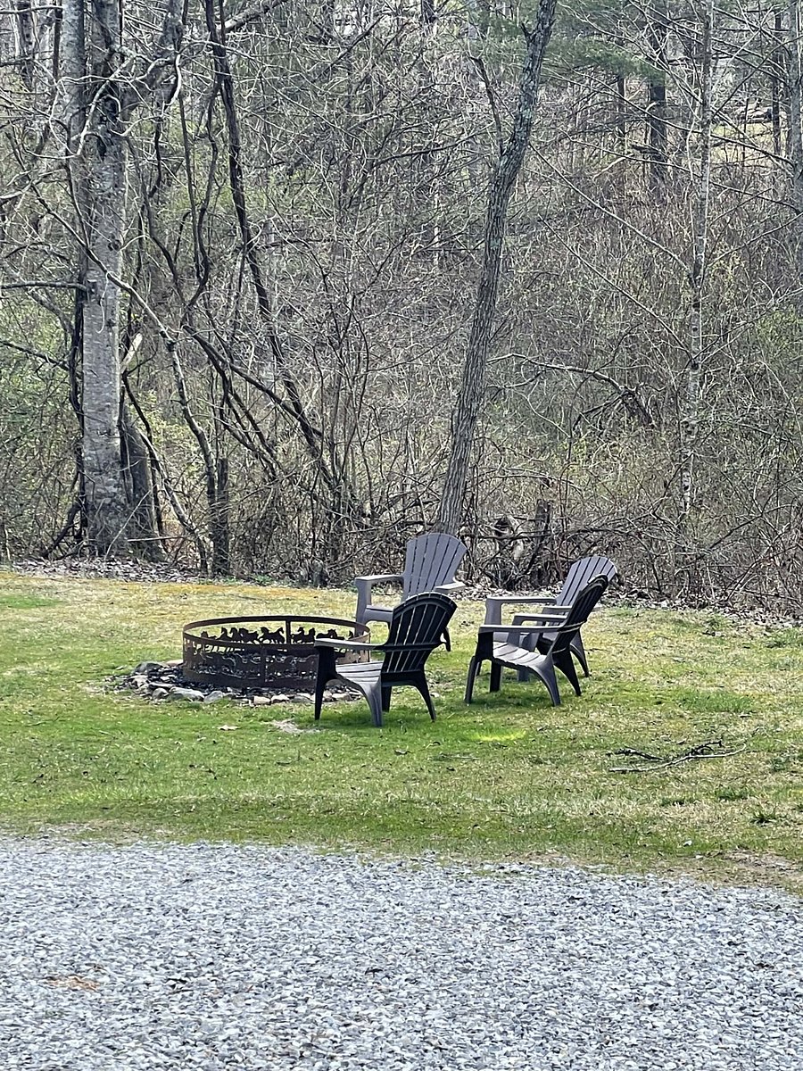 Wonderful fire pit. Plenty of logs available to use.
