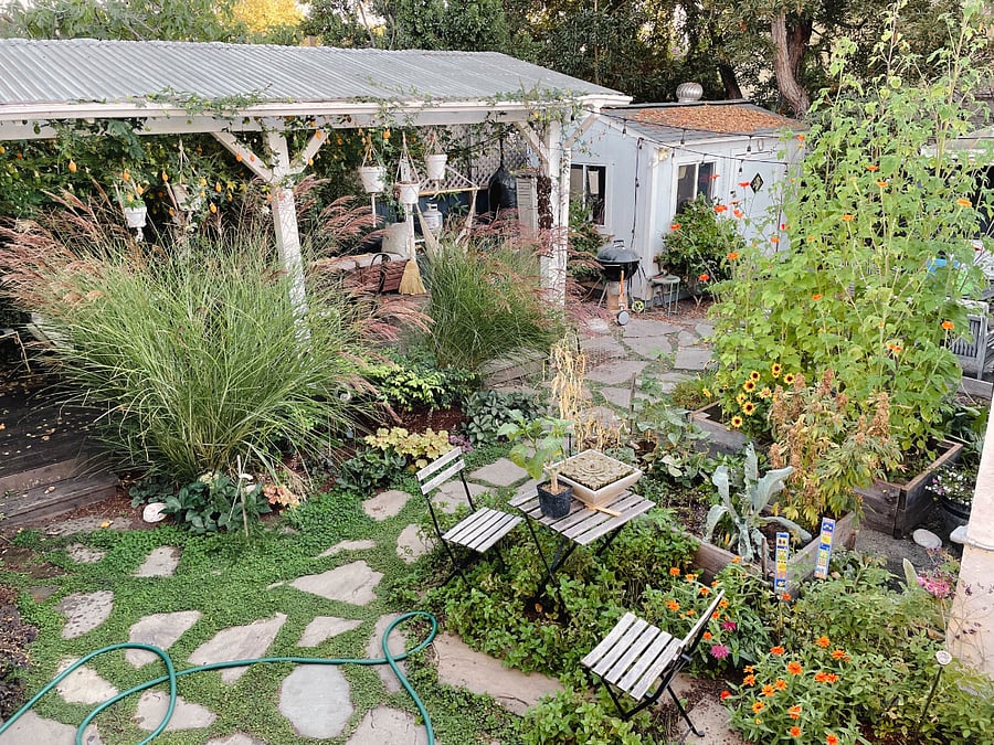 Shared back garden includes large outdoor dining table and fire pit area.