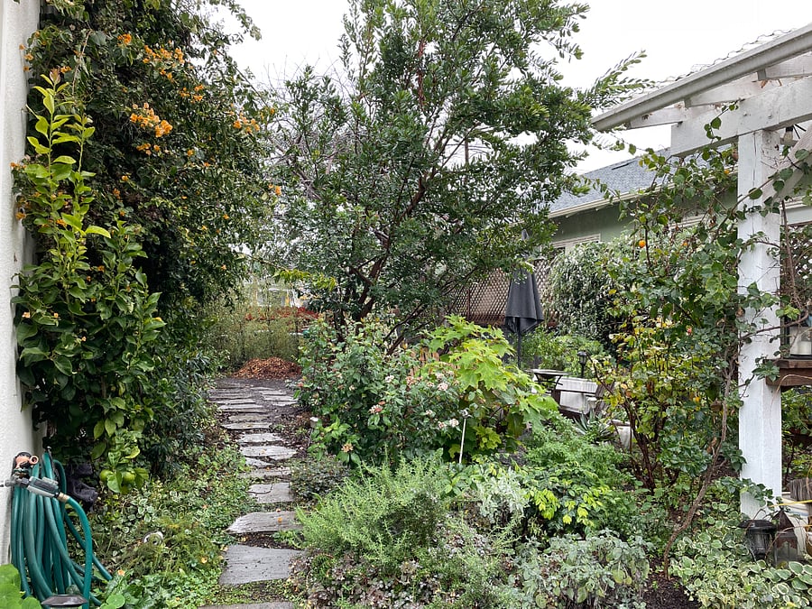 Back garden is a shared space with lots of nooks for sitting.
