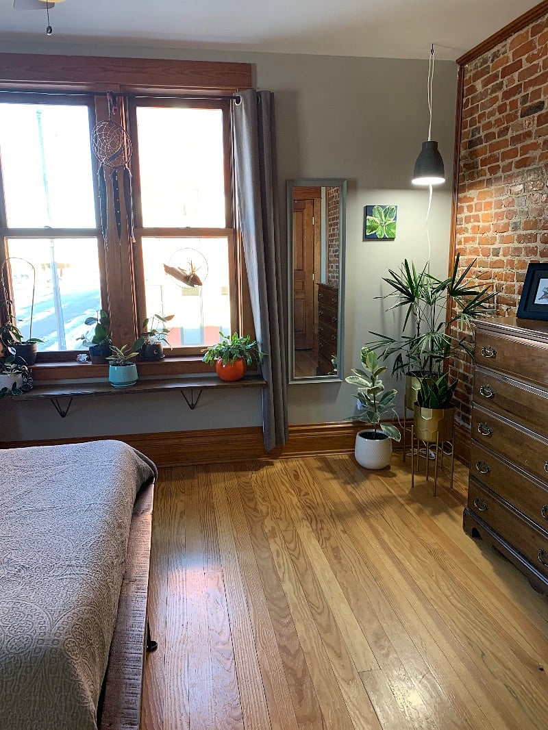 Master Bedroom- plants and black-out curtains. Automated, timer-regulated plant grow lights. 