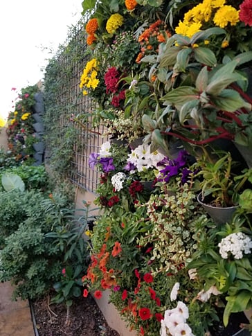 Lots and lots of plants so I hope you don't have allergies.
