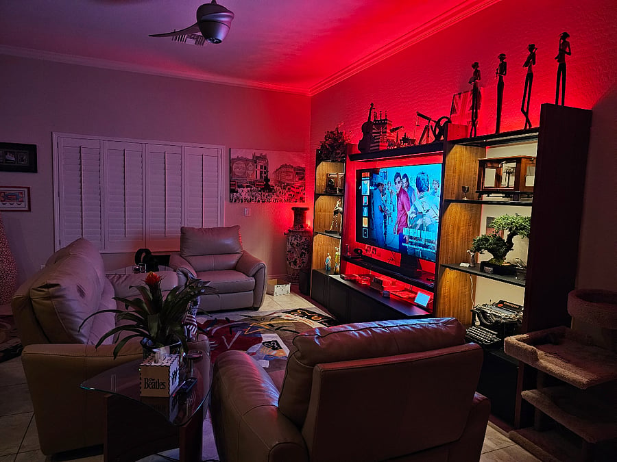 Leather recliners, remote control and 65" LG TV. What more does one need. Did you notice the RoboCop single blade ceiling fan?