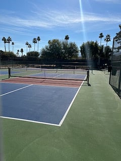 Pickle ball