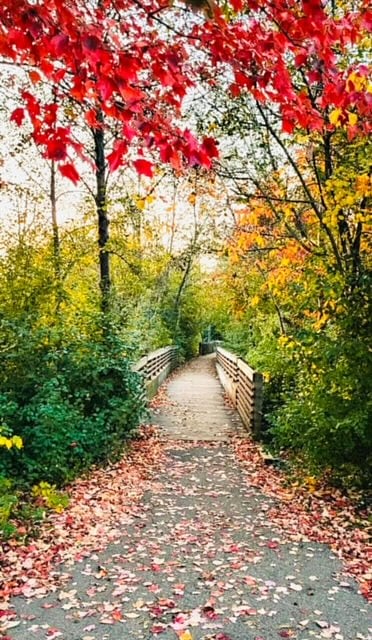 Trail right behind the building