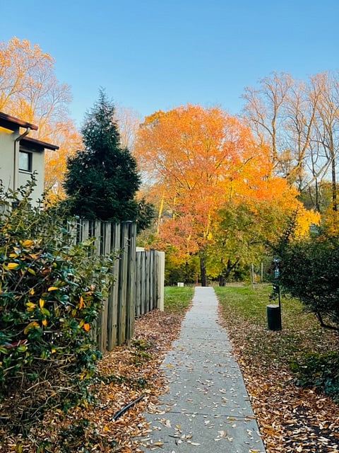 Trail right behind the building