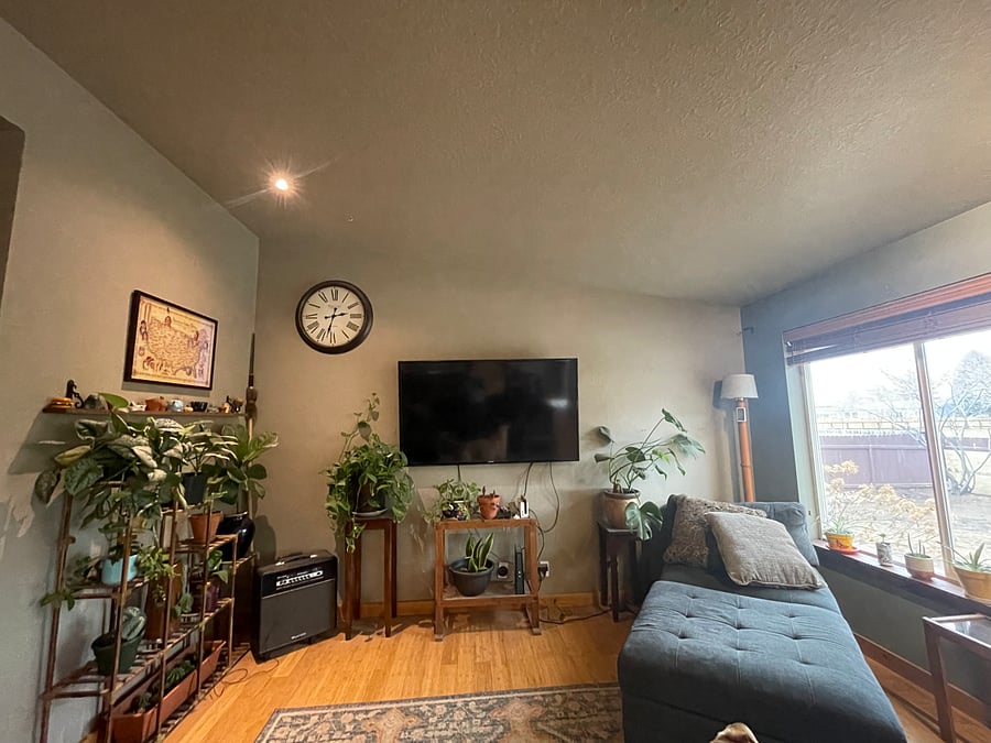 Furnished Finder property 617803_1 photo 4