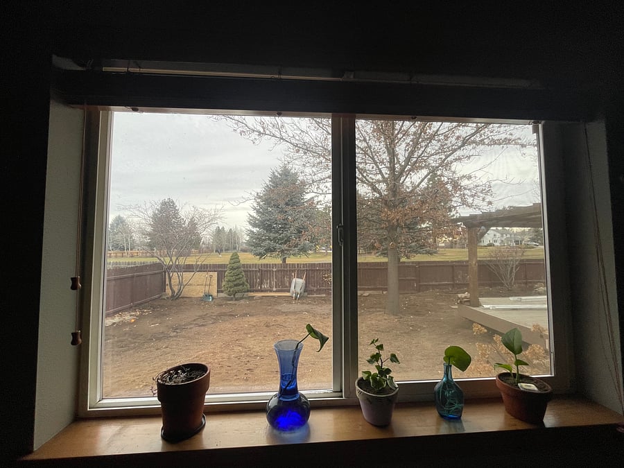Great view of the park!