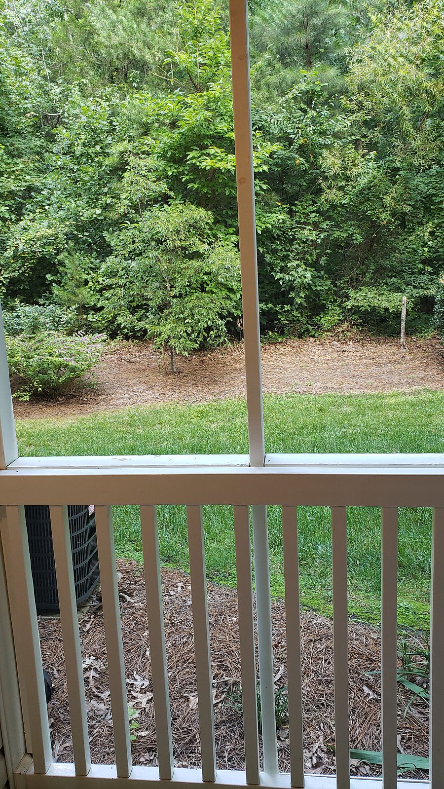 Furnished Finder property 617901_1 photo 10