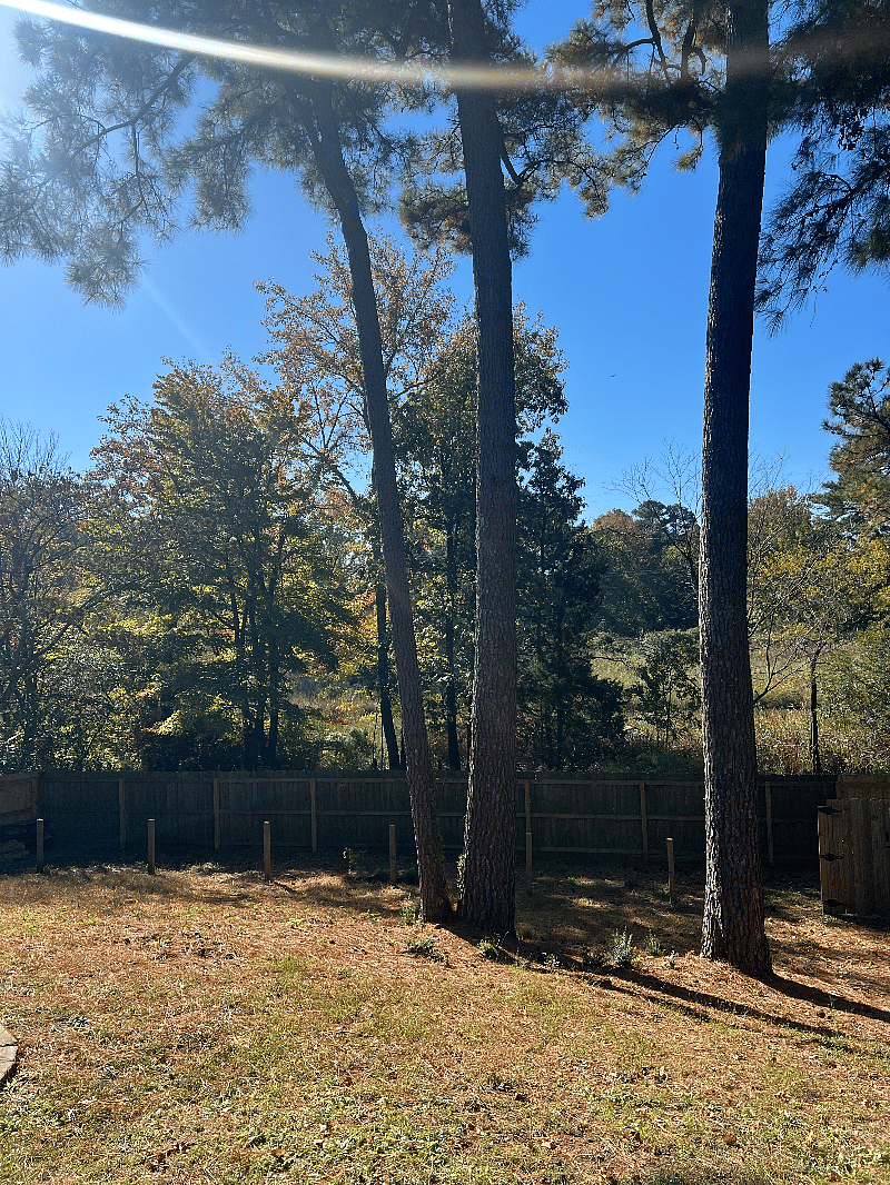 Fenced-in backyard