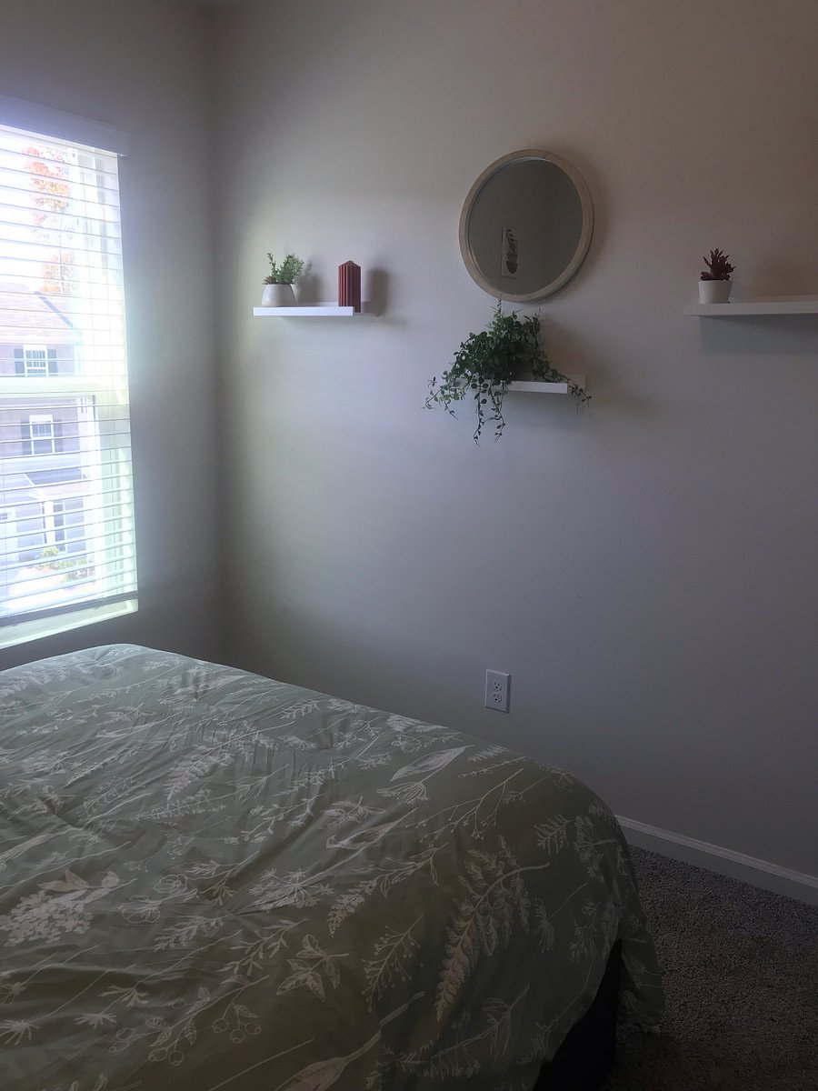 Furnished Finder property 617967_1 photo 5
