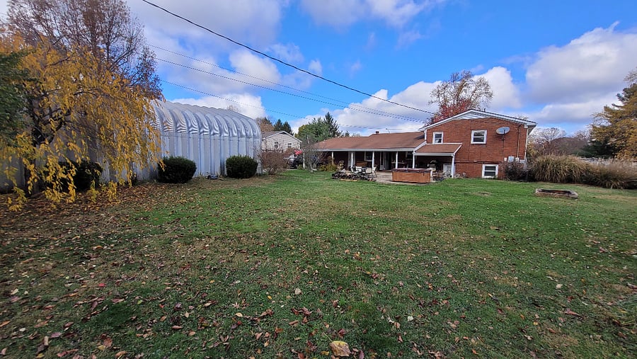 Back yard