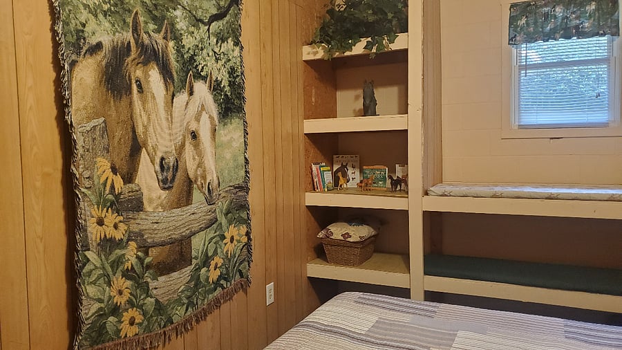 Second bed shelves